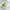 Phyto 7 Elixir Phyto 7 Elixir Universelles Öl