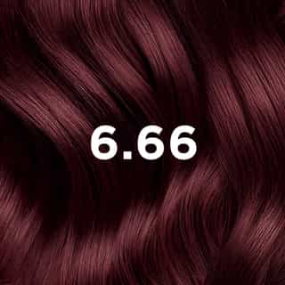 PHYTO COLORATION 6.66  Intensives Kirschrot Hellbraun