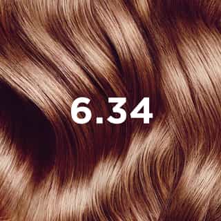 PHYTO COLORATION 6.34 Dunkelblond Kupfer