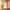 PHYTO COLORATION 8.1 Helles Aschblond