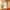 PHYTO COLORATION 9.3 Sehr helles Goldblond
