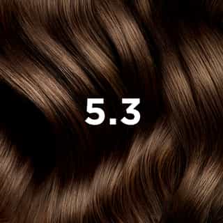PHYTO COLORATION 5.3 Helles Goldbraun