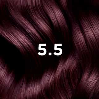 PHYTO COLORATION 5.5 Helles Kastanien Mahagonibraun