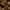 PHYTO COLORATION 6.3 Dunkel Goldbraun