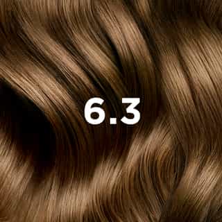 PHYTO COLORATION 6.3 Dunkel Goldbraun