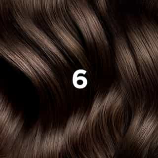 PHYTO COLORATION 6 Dunkelblond