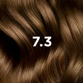 PHYTO COLORATION 7.3 Goldblond