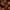 PHYTO COLORATION 7.43 Kupfer Goldblond