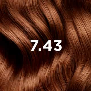 PHYTO COLORATION 7.43 Kupfer Goldblond