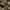 PHYTO COLORATION 8.1 Helles Aschblond
