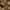 PHYTO COLORATION 8.3 Helles Goldblond