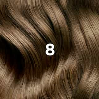 PHYTO COLORATION 8 Helles Blond