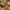 PHYTO COLORATION 9.3 Sehr helles Goldblond