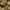 PHYTO COLORATION 9 Sehr helles Blond