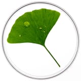 Phytocyane BEHANDLUNG GEGEN HAARAUSFALL FRAUEN