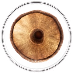 Phytocyane BEHANDLUNG GEGEN HAARAUSFALL MÄNNER TRIO