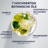 Phyto 7 Elixir Phyto 7 Elixir Universelles Öl