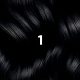 PHYTO COLORATION 1 Schwarz
