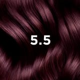 PHYTO COLORATION 5.5 Helles Kastanien Mahagonibraun
