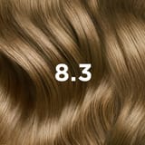 PHYTO COLORATION 8.3 Helles Goldblond