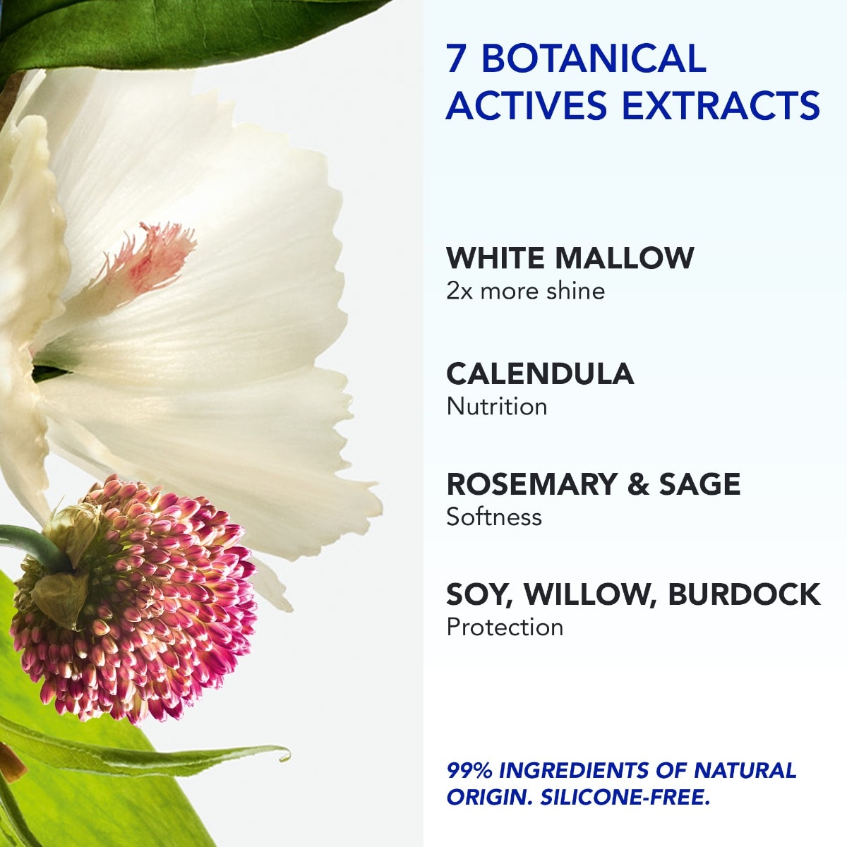Phyto 7 Elixir Universal-Tagescreme 50 ml