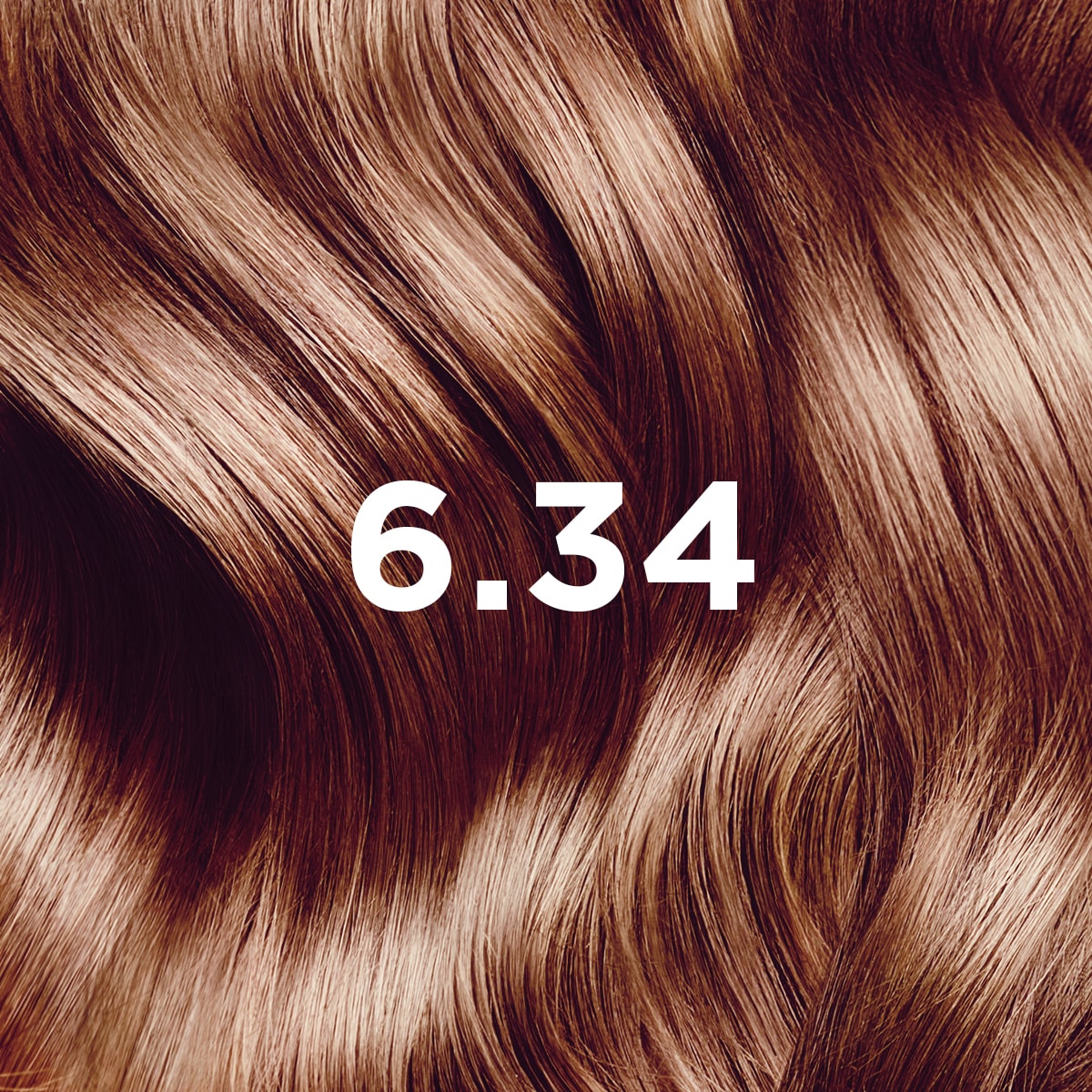 PHYTO COLORATION 6.34 Dunkelblond Kupfer