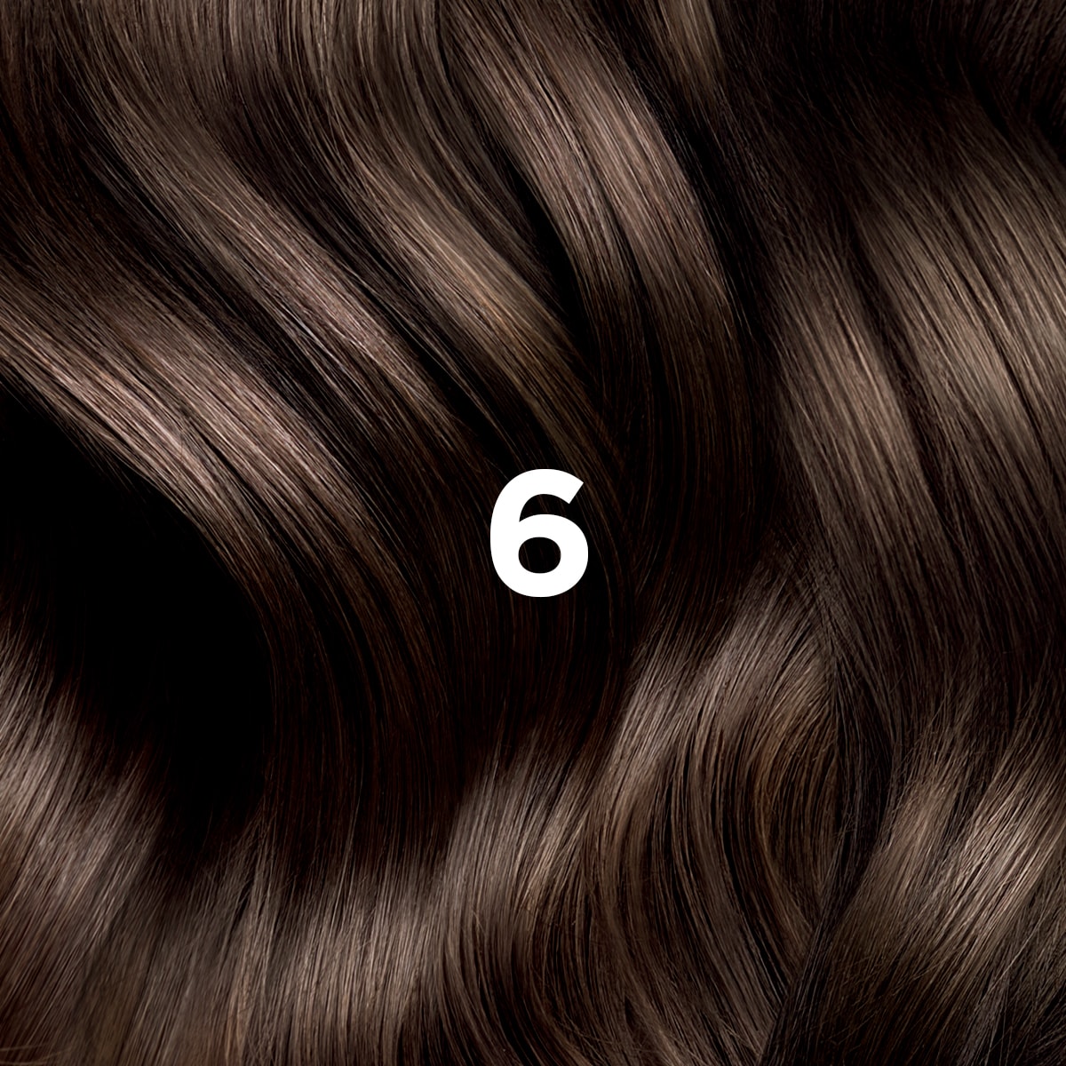 PHYTO COLORATION 6 Dunkelblond