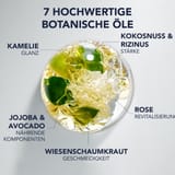 Phyto 7 Elixir Phyto 7 Elixir Intensives Öl