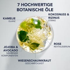 Phyto 7 Elixir Phyto 7 Elixir Intensives Öl
