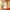 PHYTO COLORATION 8.3 Helles Goldblond