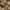 PHYTO COLORATION 9.8 Sehr helles Beigeblond