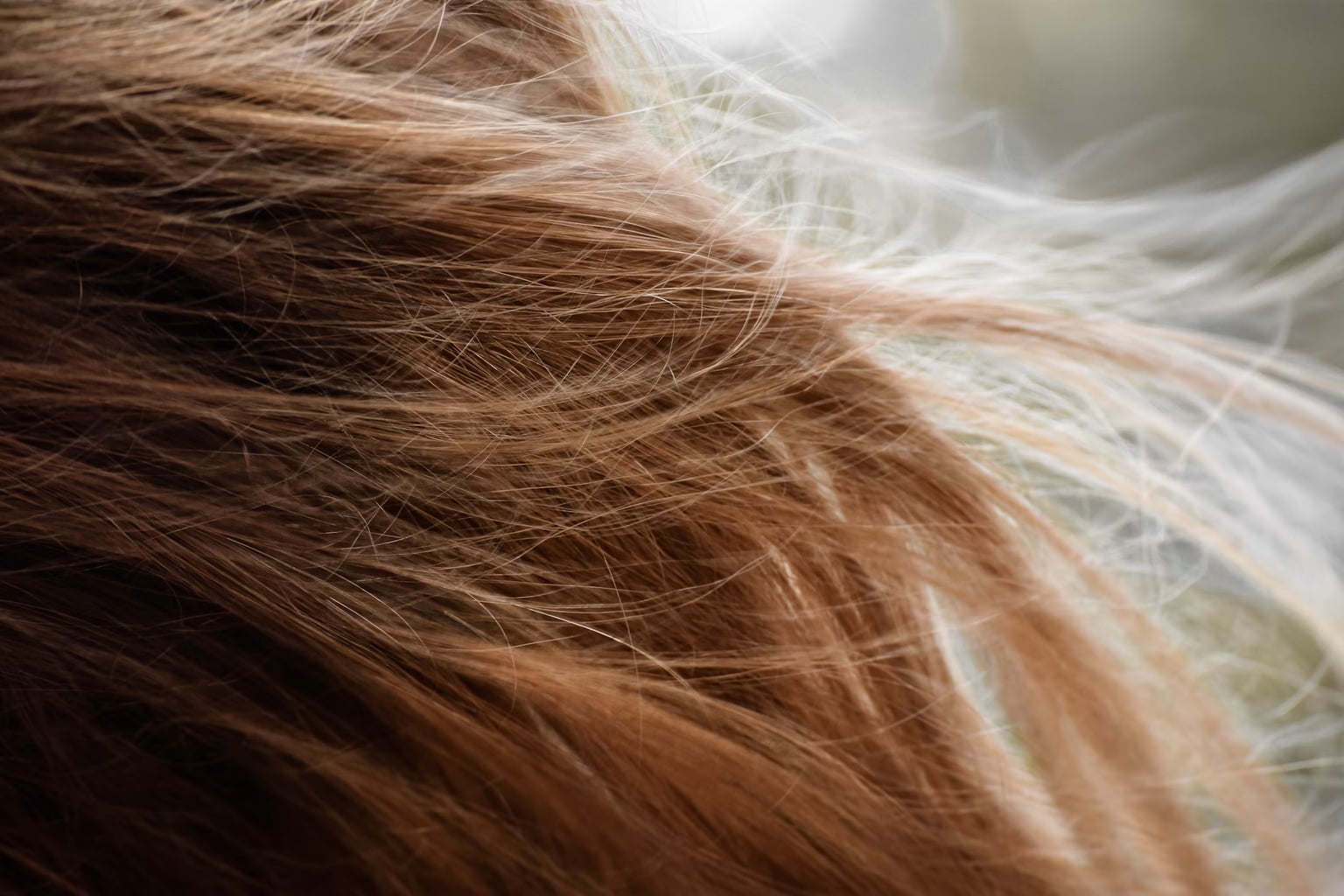 Haare im Sommer beschädigt: Die Reparaturroutine zur Wiederherstellung der Haarfaser vor dem Herbst