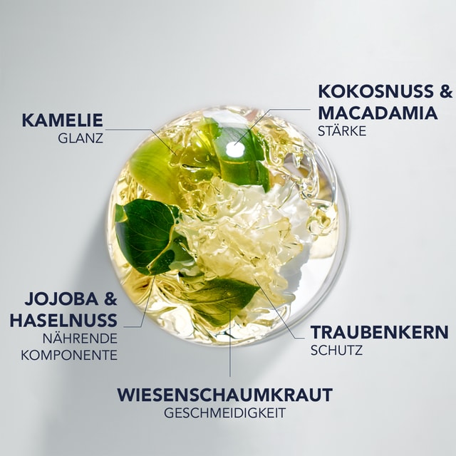 7 HOCHWERTIGE BOTANISCHE ÖLE